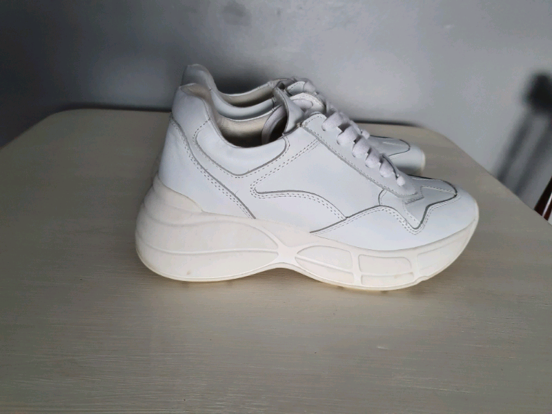 steve madden speed trainers